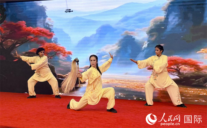 華僑華人和外國友人共同表演武術、太極拳。人民網記者 焦翔攝